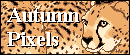 autumnpixels-one of the very best out there